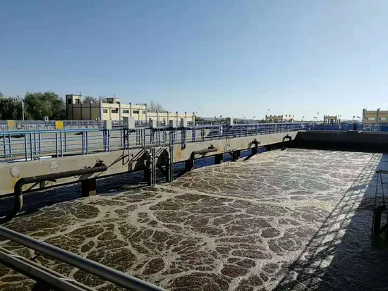 9인치 12인치 폭기 디퓨저 EPDM 멤브레인 디스크 기포 발생기 버블 디퓨저